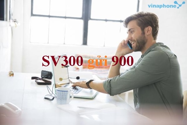 dang-ky-goi-cuoc- SV300-Vinaphone